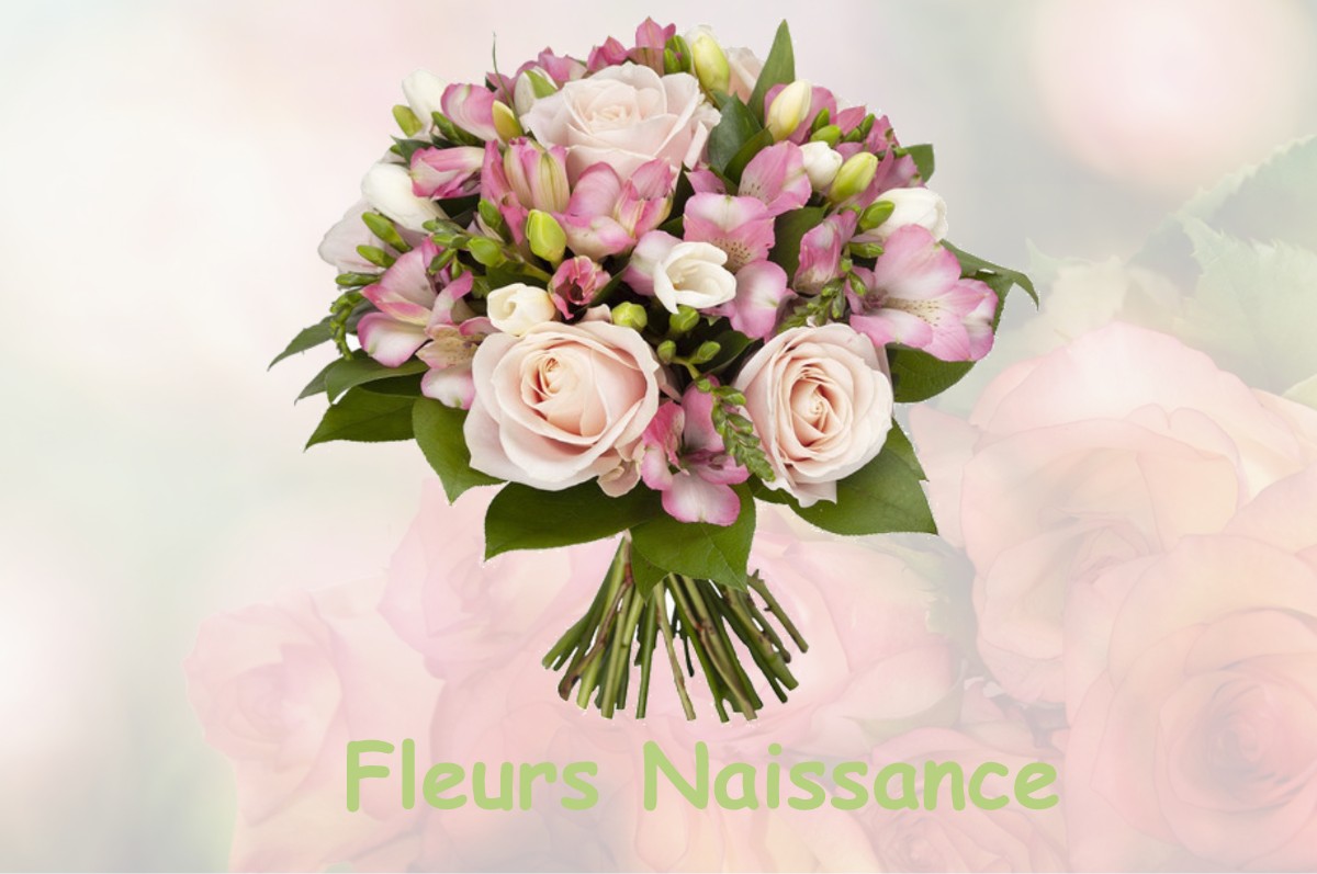 fleurs naissance BRUAY-LA-BUISSIERE